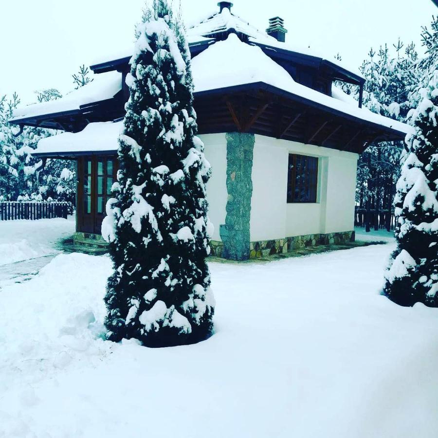 Vila Panic Zlatibor Exterior foto